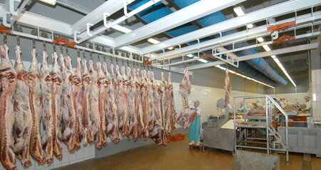 Дезинсекция на мясокомбинате в Бронницах, цены на услуги