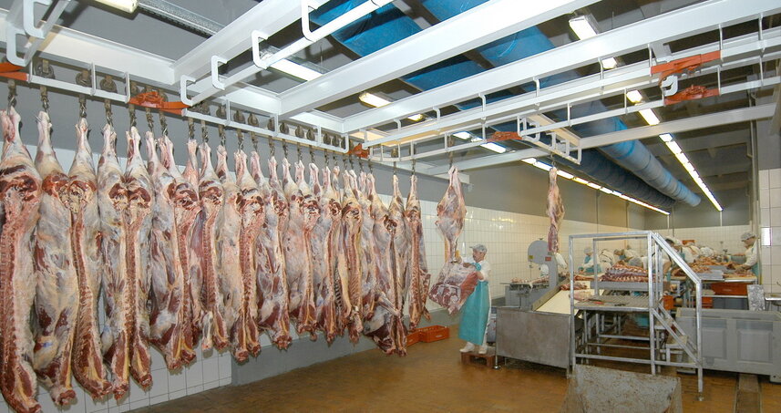 Дезинсекция на мясокомбинате в Бронницах, цены на услуги
